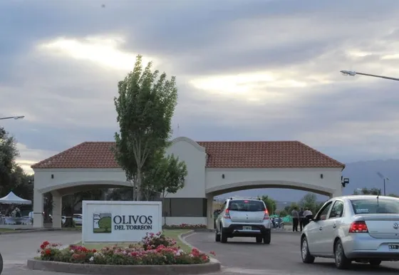 Lote  Maipu Olivos Del Torreon
