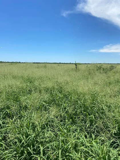 Campo En Venta En Bazán, Formosa