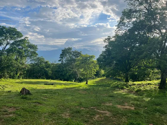 Finca Lote Barata En Venta Precio Oportunidad