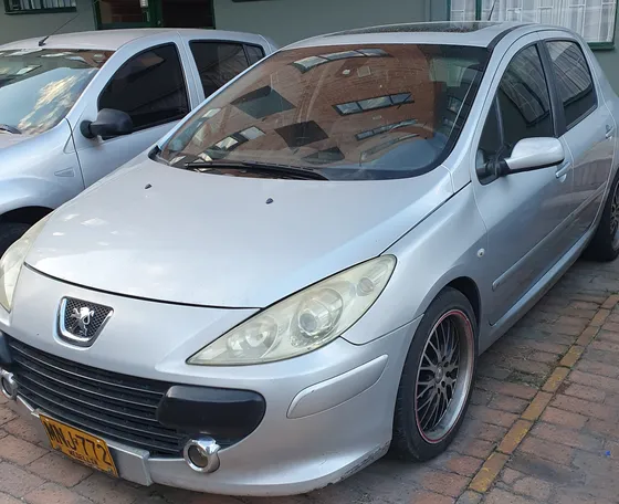Peugeot 307 2.0 Xt Feline