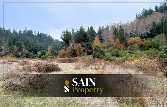 Campo Forestal En Santa Juana 12,19 Hectáreas Productivas