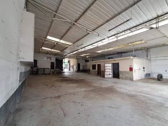 337116 Alquiler Galpón - San Blas - Valencia - 545 M2