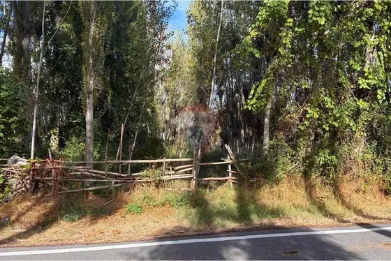 Terreno Agrícola En Venta En Coltauco