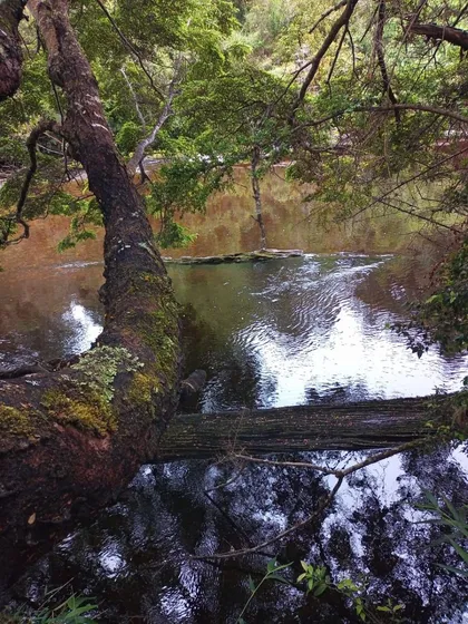 Terreno Ancud Con Orilla De Rio