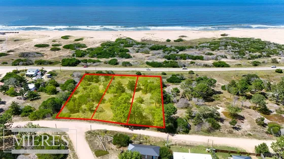 Venta Lote 5000m2 Frente Al Mar En Arenas De Ji (ref: Atm-7491)