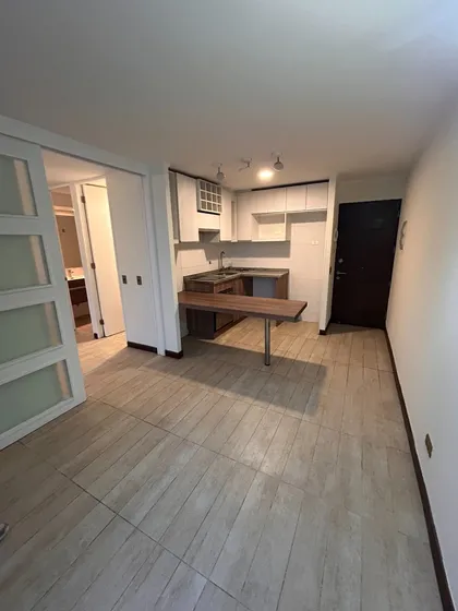 Dpto 1 Dormitorio 1 Baño, Estacionamiento Y Bodega, Macul