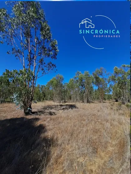 Se Vende Gran Terreno En Tunquén Oferta Por Junio Y Julio!