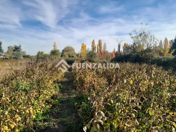 Sitio En Venta En Colbún 5.083 M2 En Lomas De Putagan