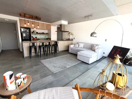 Arriendo Dpto Duplex - Azotea Privada 1d2b1e1b Providencia