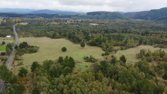 Campo En Ñanculén, La Unión - Región De Los Ríos