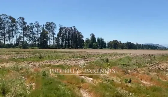 Campo Productivo En Arriendo