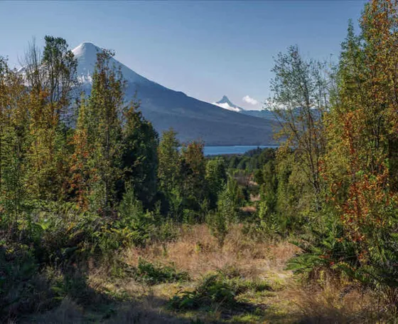 Parcela Puerto Varas