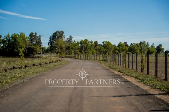 Exclusivas Parcelas En Prestigioso Condominio