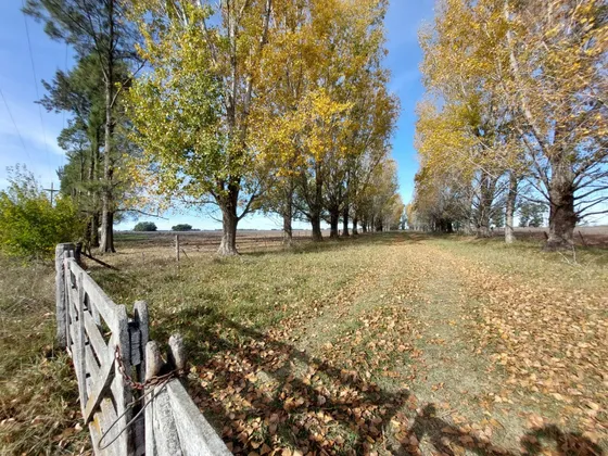 Vendo Muy Buen Campo Mixto