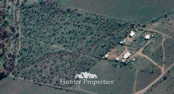 Agrícola En Venta En Colina