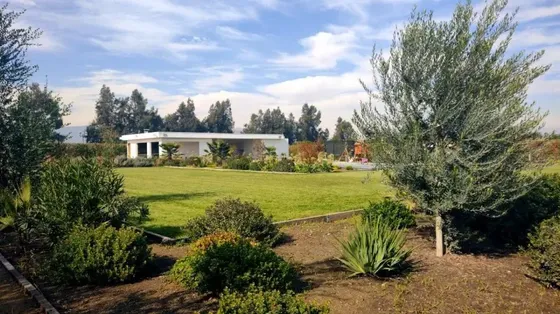 Condominio Entre Viñas, Camino Oliveto