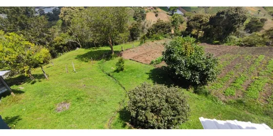 Finca Para La Venta En Marinilla - Cascajo Arriba 