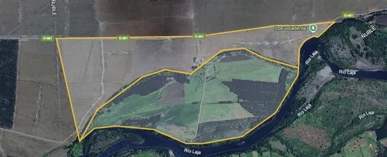 Forestal En Venta En Yungay