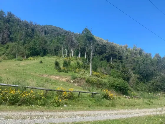 Parcela En Venta Sector Pilolcura