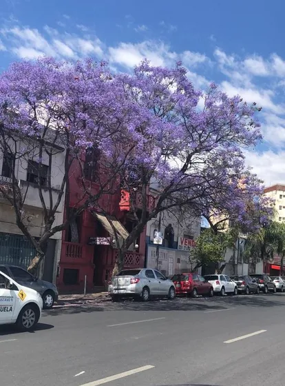 Casa En  Bv. Mitre Al 100 - B° Centro - Costanera