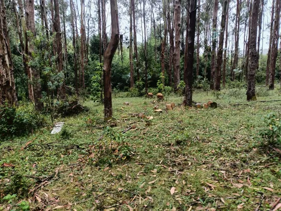 Venta De Parcela En Pitrólco