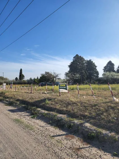 Campo De 5 Hs - Con Casa Principal Y Galpon - Pdesarrolloloteo - Zona Industrial Mixta - Conocelo!
