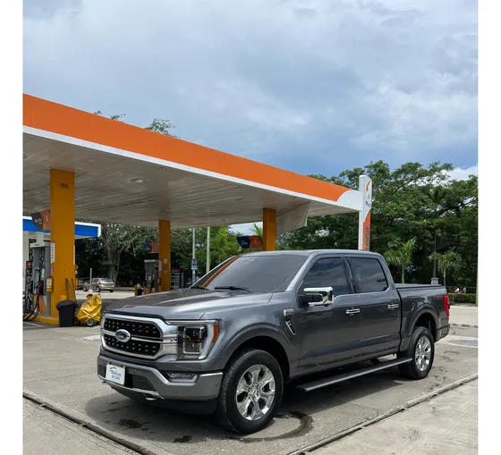 Ford F-150 3.5cc Platinum
