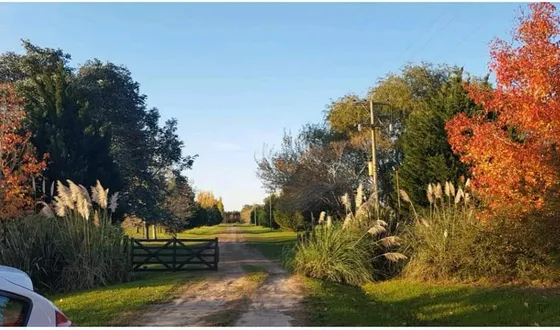 Casas De Campo En San Antonio De Areco