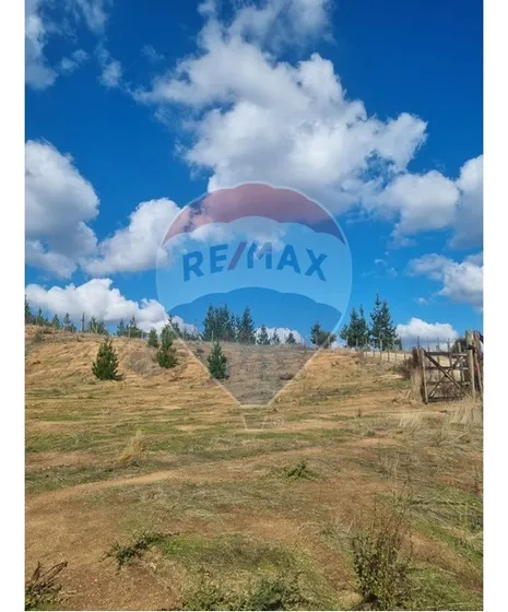 Venta De Parcela En Hualañe