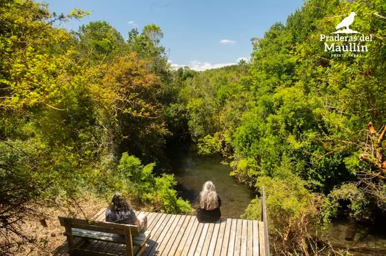 Parcela 5000m² Acceso Río Maullín | A Minutos De Pto.varas