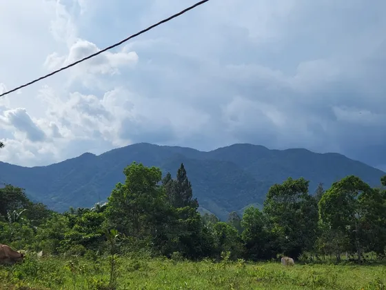 Se  Vende De Oportunidad Finca En Rancho Los Mogotes Y Negociable