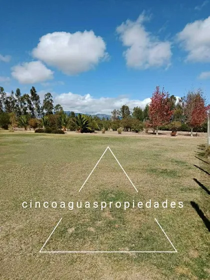 Foresta De Zapallar, Acogedora Y Central (63907)