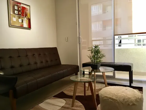 Arriendo Departamento Santiago Centro (mínimo 15 Días)