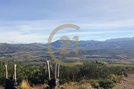 Praderas De Lonquimay Parcela 5000 M2