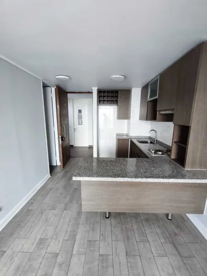 Departamento Tipo Estudio Independencia (177243)