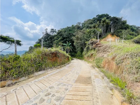 Vendo Lote De Media Hectárea En San Roque, Antioquia