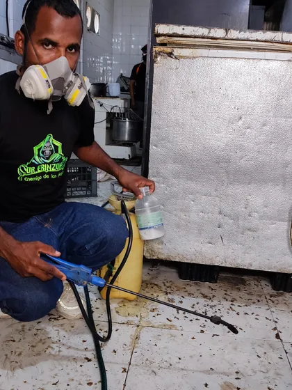 Servicio De Fumigación Contra Pulgas, Cucarachas Chinches.