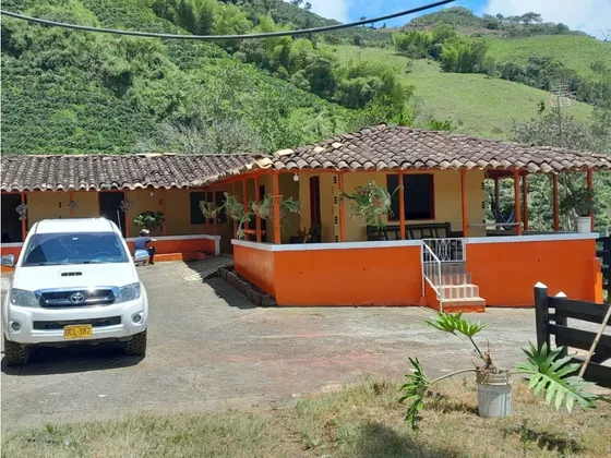 Venta De Finca Cafetera En Pueblorrico, Vereda Morron