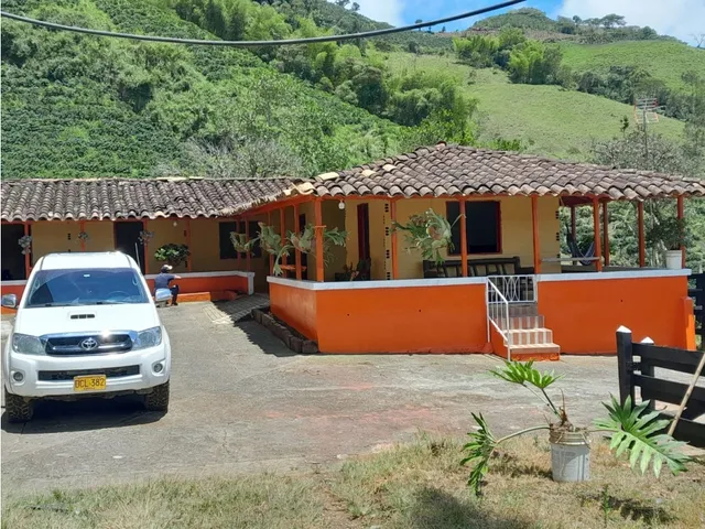 Venta De Finca Cafetera En Pueblorrico, Vereda Morron