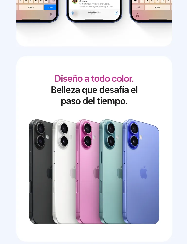 descripción