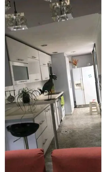Apartamento En Venta Conquistadores Medellin