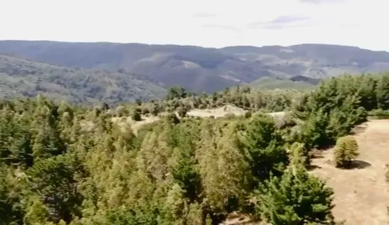 ¡gran Oportunidad De Inversión! A Solo 7 Km De Trovolhue