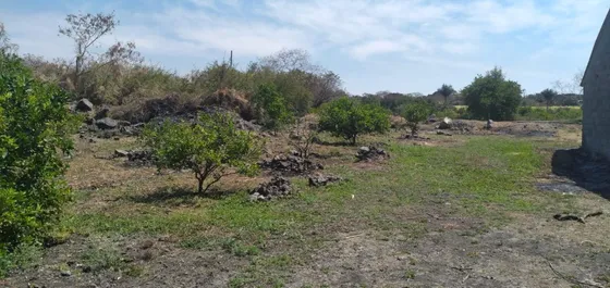 Atención Desarrolladores - Terreno En Venta - Camino Chiconcuac - Atlacholoaya