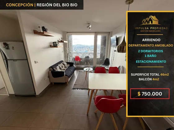 Departamento 2d + 1b Con Balcón En Centro De Concepción