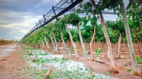 Venta De Finca En Santa Rosa Sobre Ruta 50