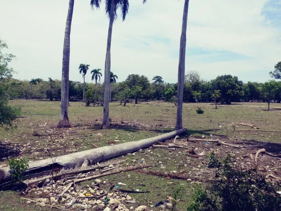 Vendo Terreno Puerto Plata  Poca Distancia De Playa Ensenada