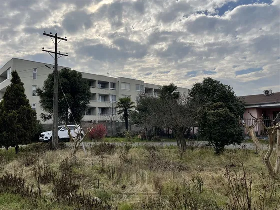 ¡gran Oportunidad De Inversion! Habiter Vende En Curico