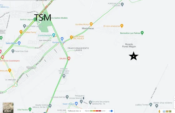 Terreno En Venta En Ricardo Flores Magon Torreon Coahuila