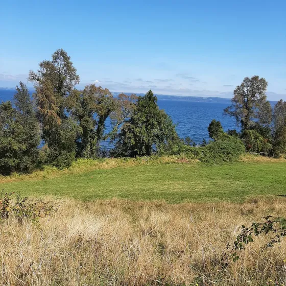 Propiedad Agro Turística, Ribera Norte Del Lago Puyehue
