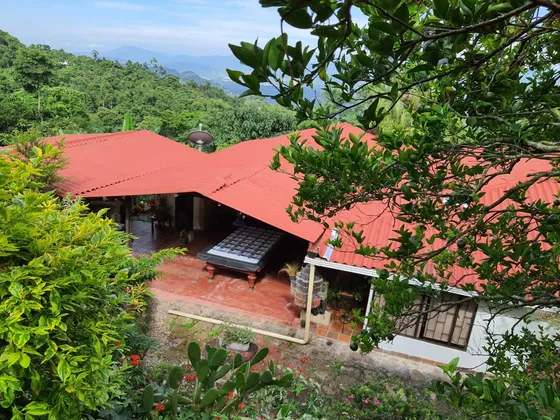 Mesitas Del Colegio - Finca Agroecologica